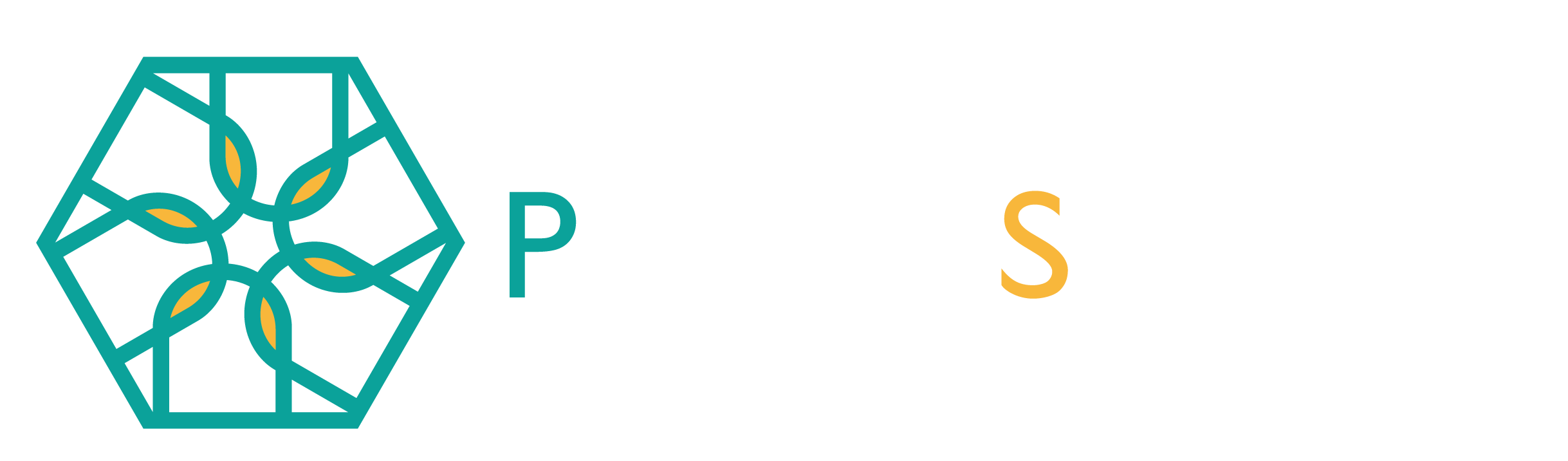 Pilates Synergy